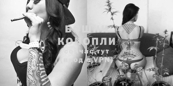 индика Нефтекумск
